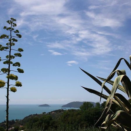Agave Di Lerici Villa Luaran gambar
