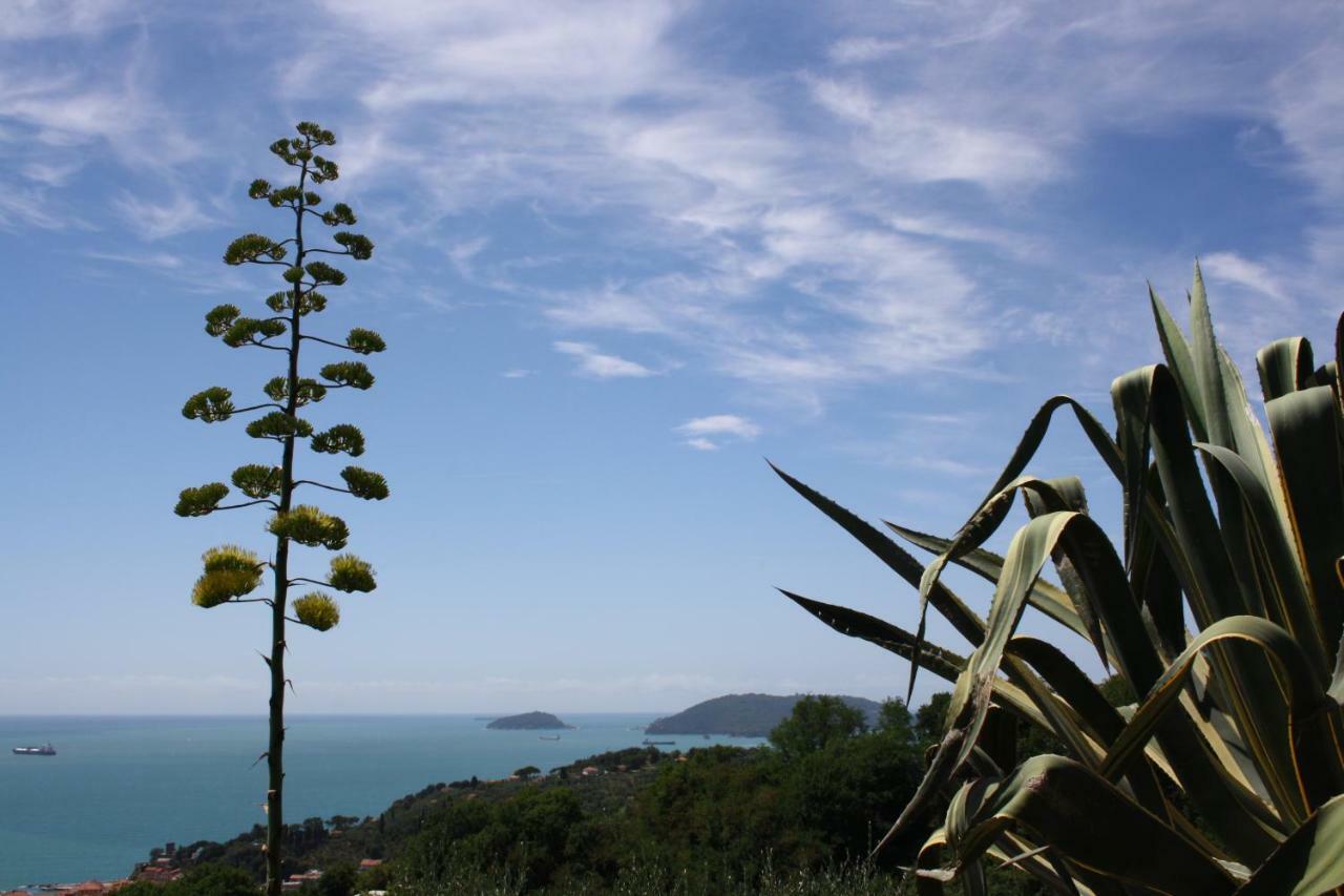Agave Di Lerici Villa Luaran gambar