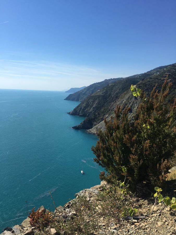 Agave Di Lerici Villa Luaran gambar
