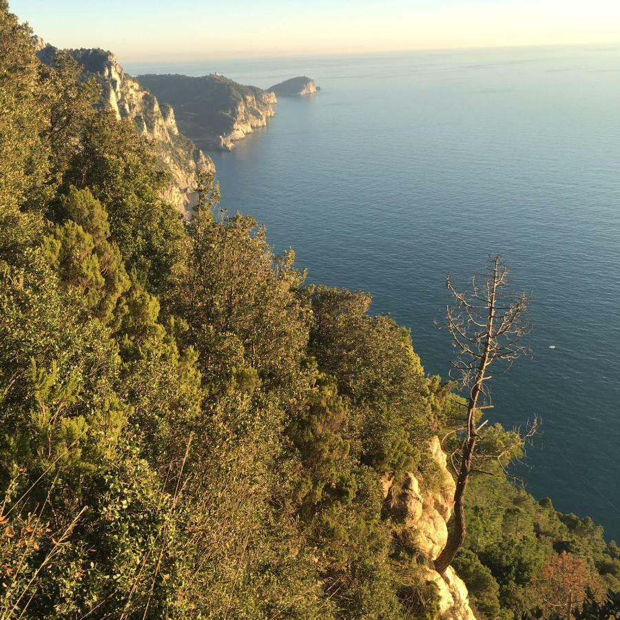 Agave Di Lerici Villa Luaran gambar